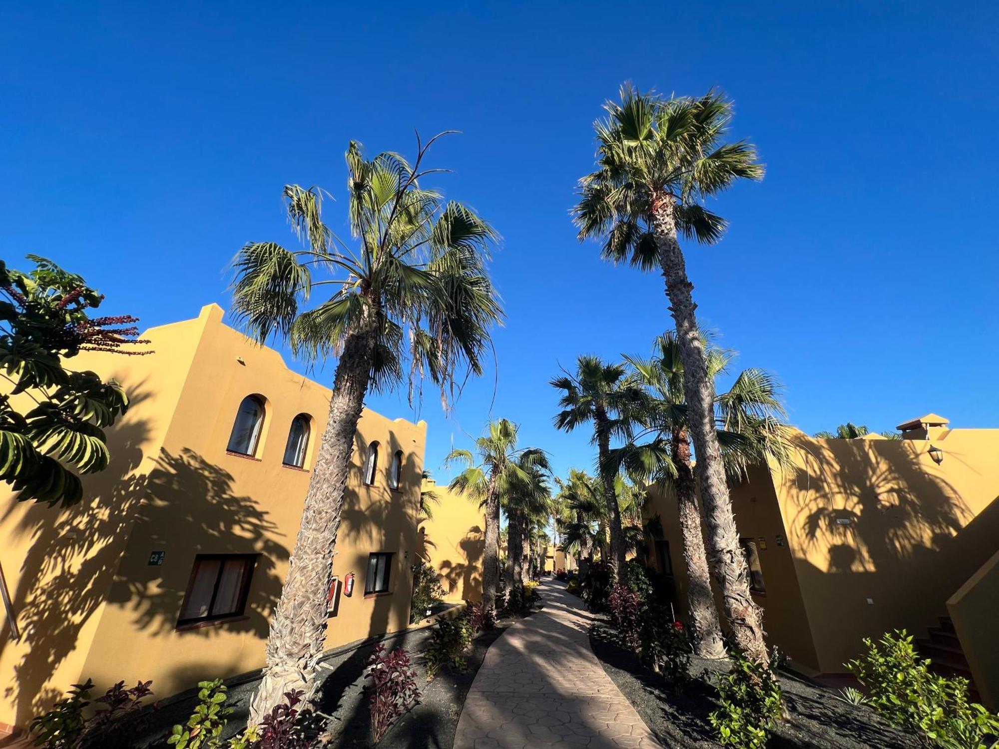 شقة Casa De Leon كوراليهو المظهر الخارجي الصورة